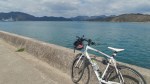 20190324_115507_HDR